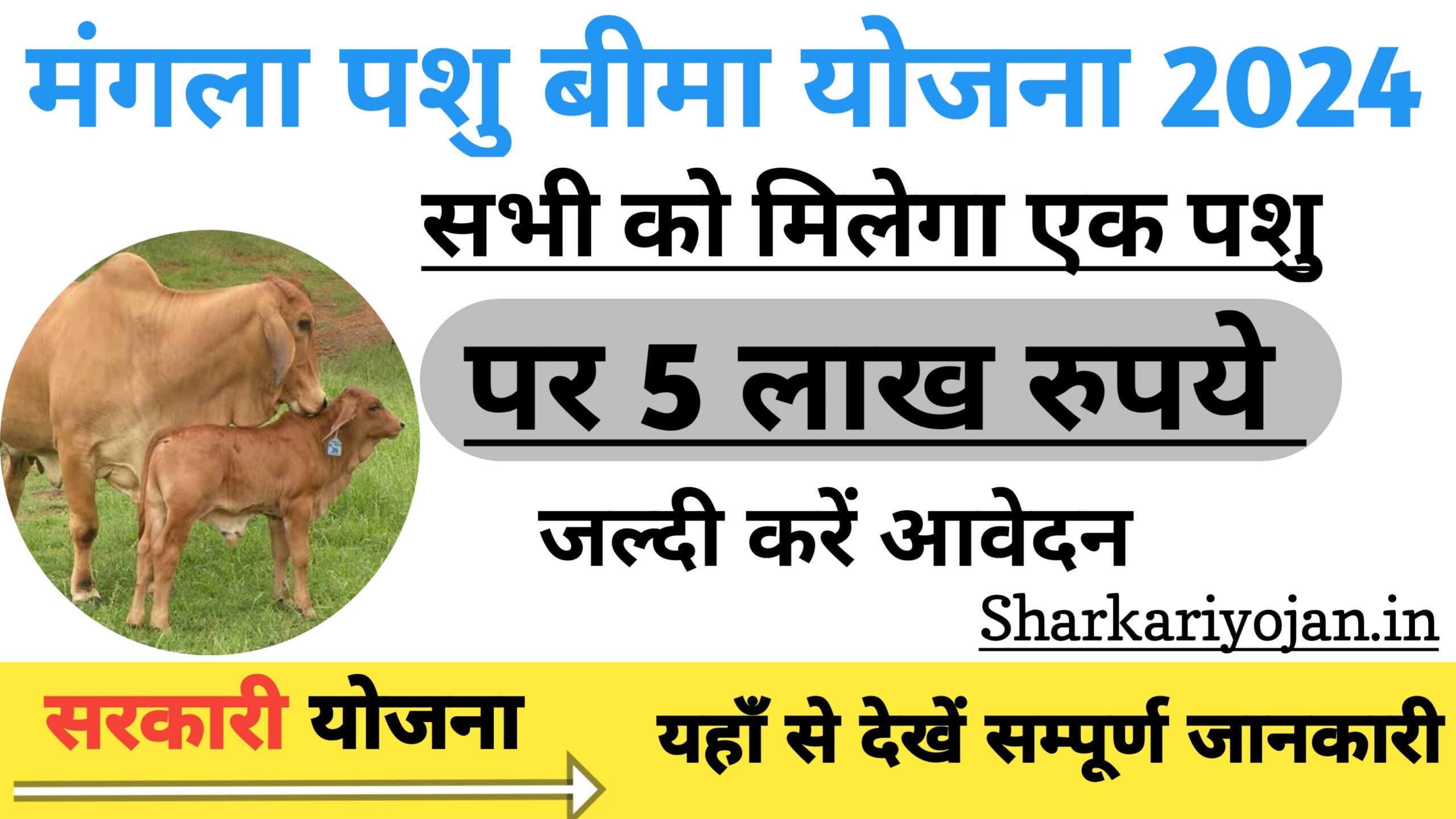 Mangla Pashu Bima Yojana: पशुपालकों के लिए Best योजना 2024